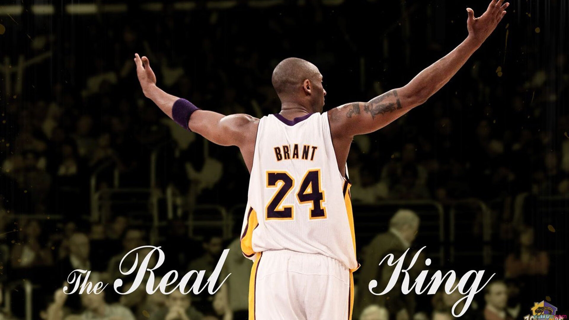 字母哥面对包夹仍高效得分,字母哥报应